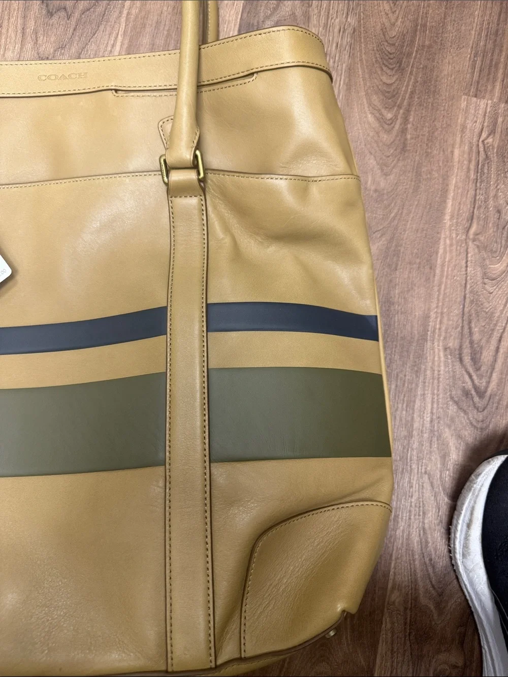 Coach Bleeker Tan Leather XL Striped Tote with Green and Blue Stripes